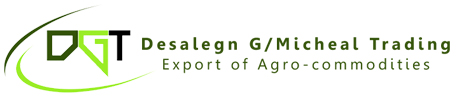 Desalegn G/michael Trading